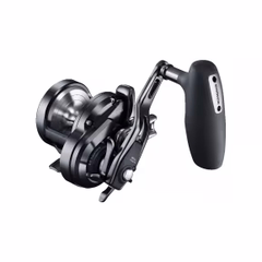Shimano 19 Ocea Jigger F Custom 2001NRHG