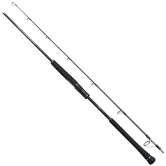 Cần SHIMANO  2024 OCEA JIGGER