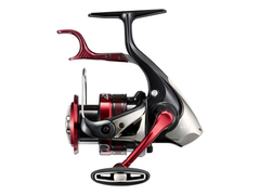 Shimano 23 BB-X Larissa C3000D HG
