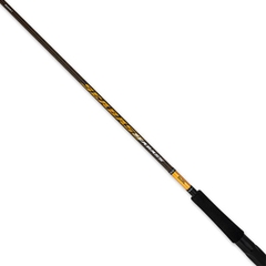 Cần Câu Lure DAIWA SEABASS