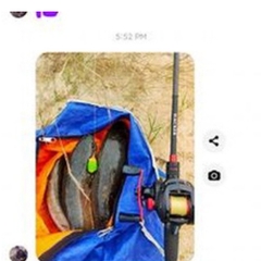 Nhái hơi VT Thuận