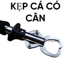 Kiềm kẹp cá có cân