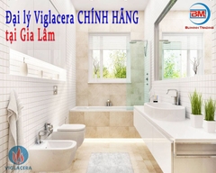 Mua Viglacera chính hãng ở đâu Gia Lâm