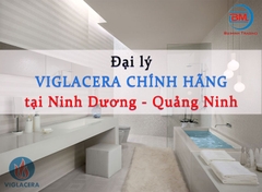 Viglacera mua ở đâu Ninh Dương - Quảng Ninh?