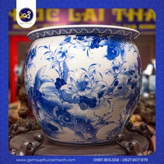 Thống Liên Niên Hữu Dư