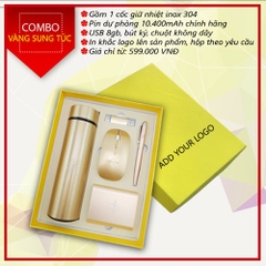 Bộ quà tặng pin dự phòng, cốc giữ nhiệt, chuột, bút, usb - Logo Tranviet