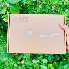 Hộp quà tặng giấy carton nắp gài - In offset theo yêu cầu