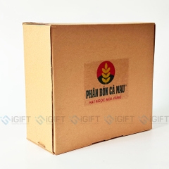 Hộp quà tặng kraft in logo theo  yêu cầu