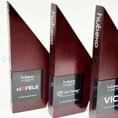 Kỷ niệm chương gỗ - Khắc logo theo yêu cầu