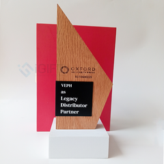 Kỷ niệm chương gỗ - Khắc logo theo yêu cầu
