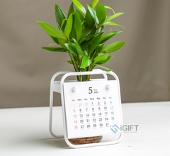 Lịch để bàn phong cách Hàn Quốc - in logo theo yêu cầu - MS11