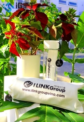 Gift set bình và túi canvas in logo iLink