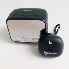 Loa Bluetooth Robot RB170 - In logo theo yêu cầu