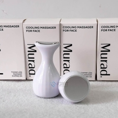 Thanh lăn massage mặt - Quà tặng cho hãng mỹ phẩm