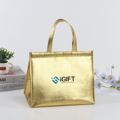 Túi vải giữ nhiệt văn phòng - In logo theo yêu cầu