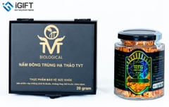 ĐÔNG TRÙNG HẠ THẢO TVT (DẠNG SỢI, LỌ 20G)