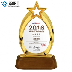Kỷ niệm chương đế gỗ in khắc theo yêu cầu