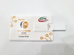 USB Namecard In Ấn Theo Yêu Cầu Công Ty ANQ