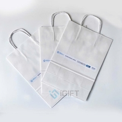 Túi giấy Kraft - In ấn theo yêu cầu