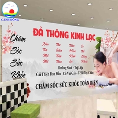 Tranh dưỡng sinh đông y spa - thẩm mỹ viện dán tường, kính, gỗ - in size theo yêu cầu , in trên nhiều chất liệu vải, decal, bạt, gỗ sẵn keo dán dễ