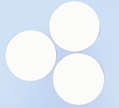 Màng Lọc-PVDF Hydrophilic Membrane 0.22μm