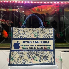 Túi vải linen DDTDdDD anh khoa