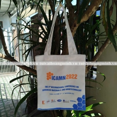 túi vải canvas icamn