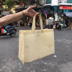 Túi vải không dệt màu be