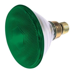 Bóng đèn halogen Philips Party PAR 38 80W ( Bóng đèn Philips dây tóc 80W )