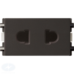 Ổ cắm điện 2 lổ Schneider Zencelo A 84426SUS-BZ-G19 cở size nhỏ 16A