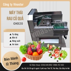 Máy Thái Rau Củ Quả Đa Năng Dạng Băng Tải