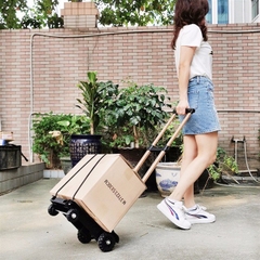 Xe kéo hàng đa năng gấp gọn T52 Tải trọng 100kg