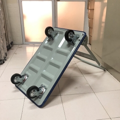 Xe đẩy hàng Ameca HAM-150S (150kg)