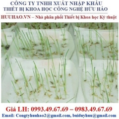 Giấy nẩy mầm Seedburo Model: 400PT