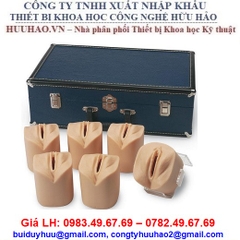 MÔ HÌNH KHÁM TỬ CUNG R10922 ERLER ZIMMER