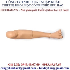 MÔ HÌNH ĐẶT ĐƯỜNG TRUYỀN TRONG XƯƠNG LAERDAL