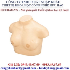 Mô hình khám ngực phụ nữ LM-018 Koken