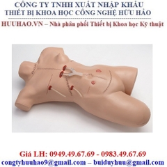 Mô hình thực hành thay băng cắt chỉ Nasco LF00929U