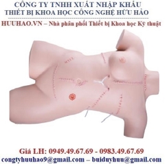 MÔ HÌNH THỰC HÀNH THAY BĂNG CẮT CHỈ SAU MỔ P100 3B SCIENTIFIC