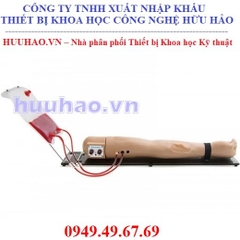 Mô hình tiêm truyền tĩnh mạch điện tử trên cánh tay 3B - mã 1019645