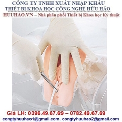 MÔ HÌNH ĐẶT ỐNG THÔNG TIỂU NỮ TRONG SUỐT GD/H16F