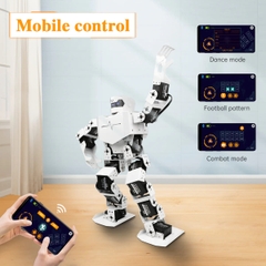 H5S Hiwonder 16DOF Intelligent Humanoid Dancing Robot Supports Entertainmet Display