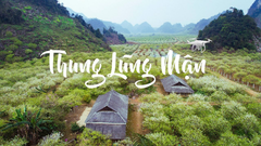TOUR HÀ NỘI –  MAI CHÂU - MỘC CHÂU - CẦU KÍNH BẠCH LONG 2024