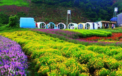 TOUR HÀ NỘI –  MAI CHÂU - MỘC CHÂU - CẦU KÍNH BẠCH LONG 2024