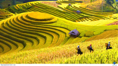HÀ GIANG - ĐỒNG VĂN - ĐÈO MÃ PÌ LÈNG - CỘT CỜ LŨNG CÚ - BẢN LÔ LÔ CHẢI 2024