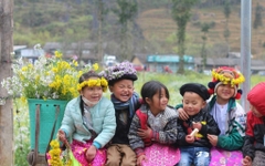 HÀ GIANG - CAO NGUYÊN ĐÁ ĐỒNG VĂN - DU GIÀ 3N4D 2024