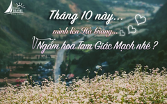 HÀ NỘI - HÀ GIANG - CAO NGUYÊN ĐÁ - HÀ NỘI 3D2N 2024