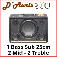 Loa Xách Tay Acnos D'Auris Mới Nhất