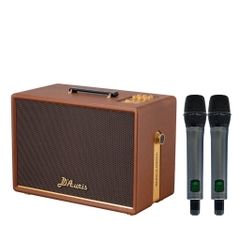Loa Karaoke Xách Tay ACNOS D'Auris 300