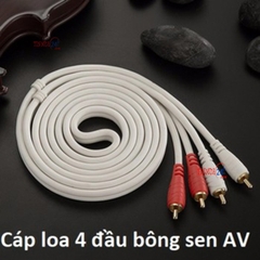 Dây Kết Nối AV 2 Ra 2 Giá Rẻ